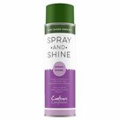 Spray-&amp;-Shine-High-gloss-varnish