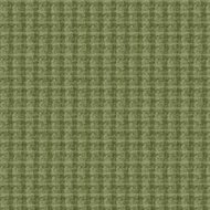 Woolies Flannel Light Green F18504M-G