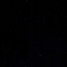 Black - Vinyl Glossy AVERY DENNISON