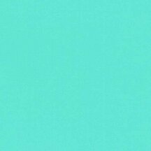 Mint - Vinyl Glossy 30,7cm x 2,5m Silhouette