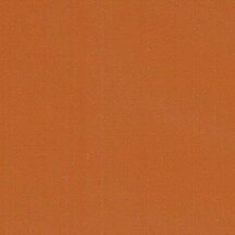 Nut Brown - Vinyl Glossy AVERY DENNISON