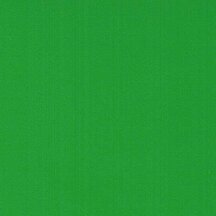 Grass Green - Vinyl Glossy AVERY DENNISON