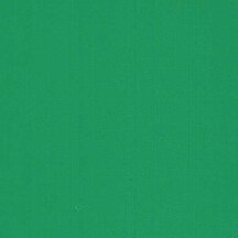 Cactus Green - Vinyl Glossy AVERY DENNISON