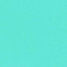 Mint - Vinyl Glossy AVERY DENNISON