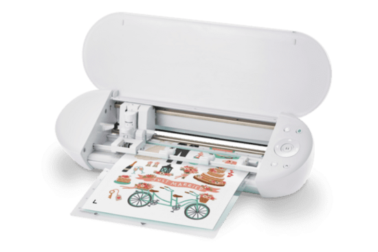 Portrait 4 SILHOUETTE Belgique