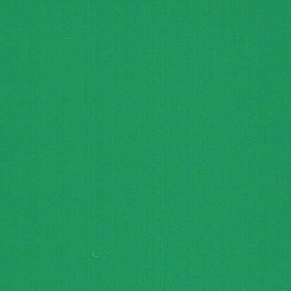 Cactus Green - Vinyl Glanzend AVERY DENNISON