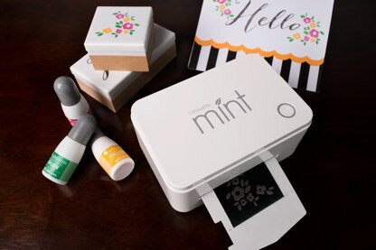 MINT & Accessories MINT-&-Accessories