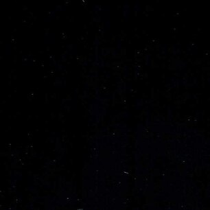 Black - Vinyl Mat AVERY DENNISON