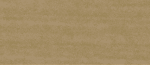 NOVA-VINYLE Or Brossé SPE21