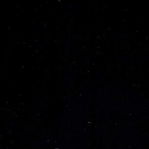 Black - Vinyl Matte 24,6cm x 3m Silhouette Black - Vinyl Matte 24,6cm x 3m Silhouette