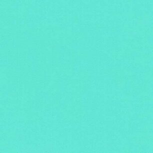 Menthe - Vinyle Brillant 30,7cm x 2,5m Silhouette Menthe - Vinyle Brillant 30,7cm x 2,5m Silhouette