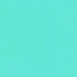 Mint - Vinyl Mat AVERY DENNISON 