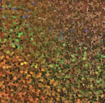 BlazeCut Gold Holo Flex 