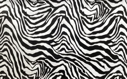 Zebra Flex 10 Zebra Flex 10