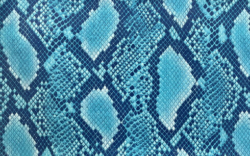 Blue Snake Flex 04 Blue Snake Flex 04