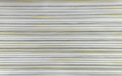 11 Photon - CrazyFlex Stripes 50cm SEF 11 Photon - CrazyFlex Stripes 50cm SEF