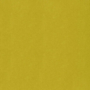 Anis Cardstock Adhésif SILHOUETTE