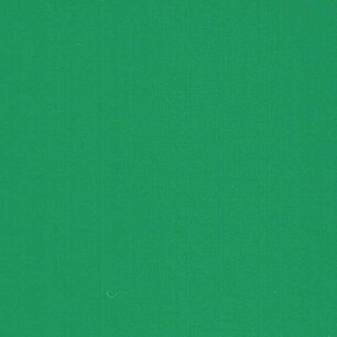 Cactus Green - Vinyl Mat AVERY DENNISON