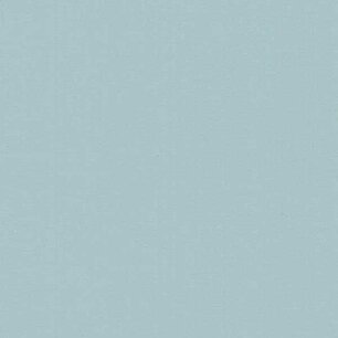 Light Grey - Vinyle Brillant AVERY DENNISON Light Grey - Vinyle Brillant AVERY DENNISON