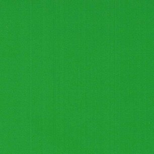 Grass Green - Vinyle Brillant AVERY DENNISON Grass Green - Vinyle Brillant AVERY DENNISON