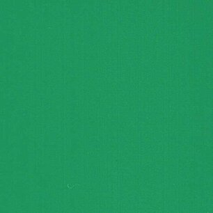 Cactus Green - Vinyle Brillant AVERY DENNISON Cactus Green - Vinyle Brillant AVERY DENNISON