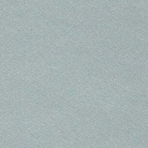 Silver - Vinyle Brillant AVERY DENNISON Silver - Vinyle Brillant AVERY DENNISON