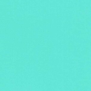 Mint - Vinyle Brillant AVERY DENNISON Mint - Vinyle Brillant AVERY DENNISON