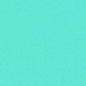 Mint - Vinyl Glossy 30,7cm x 2,5m Silhouette