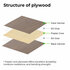 3mm ​​​​​​​xTool Walnusssperrholz 30x30cm (6x) - xTool_